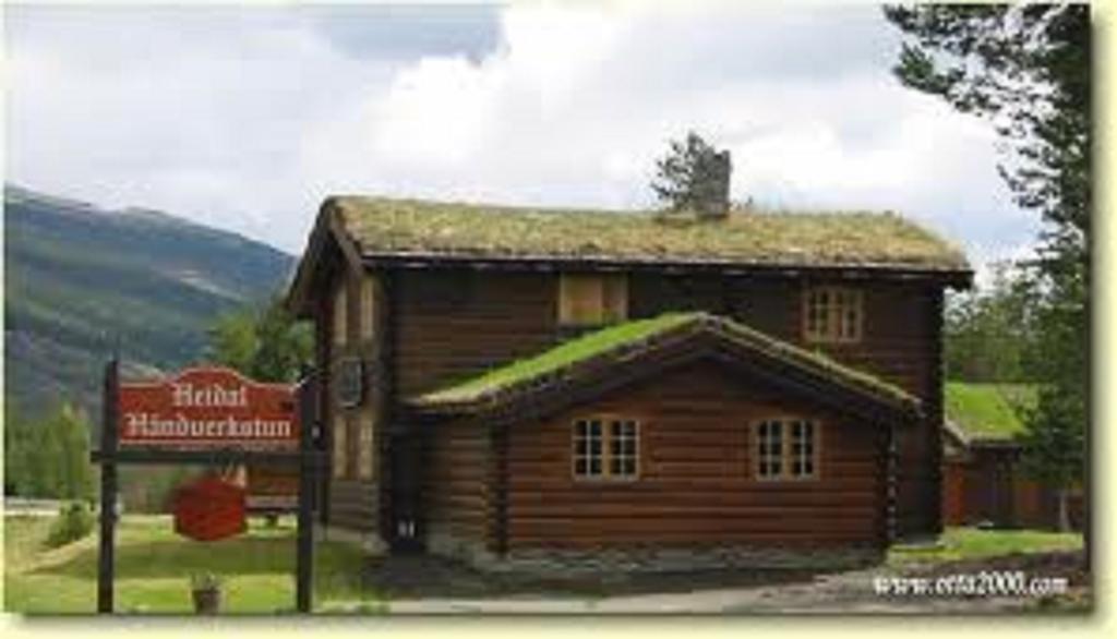 Lusaeter Timber Cabins Heidal Exterior photo